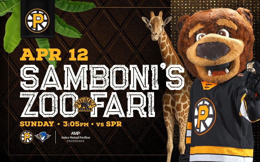 More Info for Providence Bruins • Samboni's Zoo-Fari