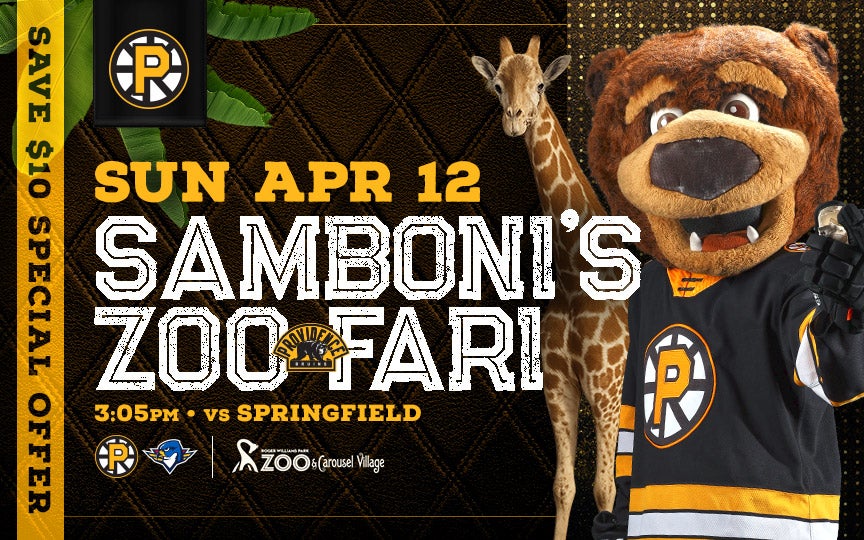 More Info for Providence Bruins vs Springfield Thunderbirds
