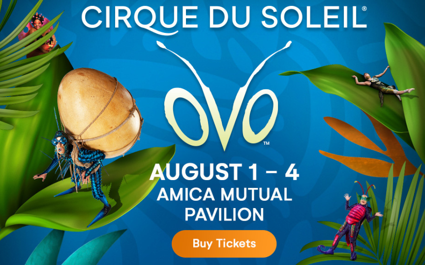 More Info for Cirque du Soleil - OVO 
